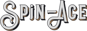 Spin-Ace